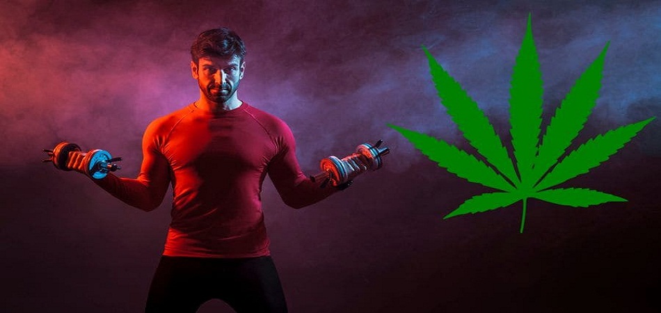CBD : bon pour les pratiquants de sport intensif ?
